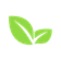 Seed logo