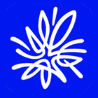 AMP GO logo